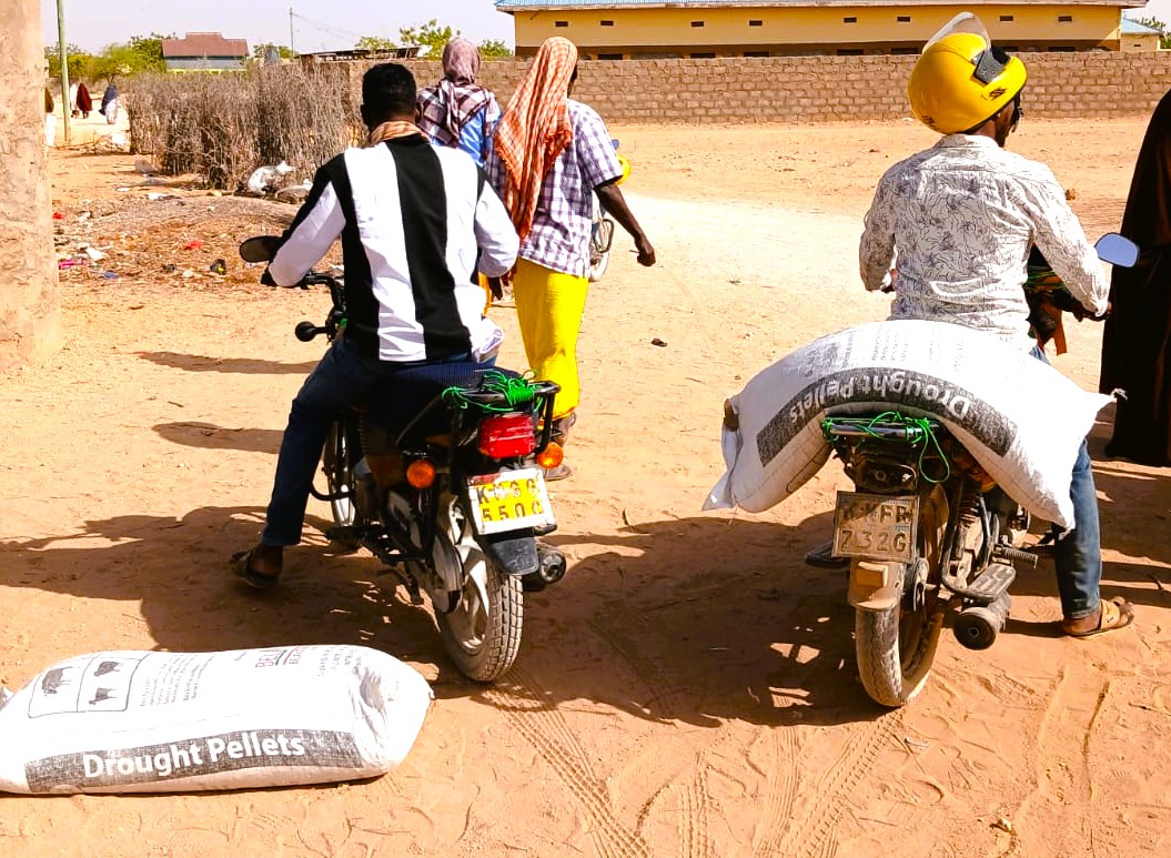 Government Scales Up Drought Pellets Distribution to Protect Livestock in Mandera and Other ASAL Counties