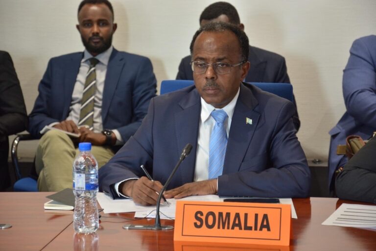 Somalia Warns Territory Cannot Be Used for Foreign Military Operations Amid Reports of Israeli Base in Somaliland