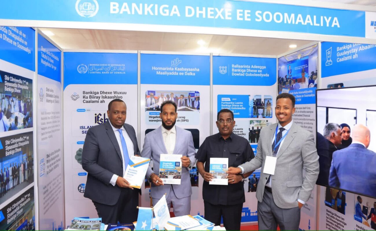 Somalia Moves to Link Banks and Mobile Money Under Single National Payment Network