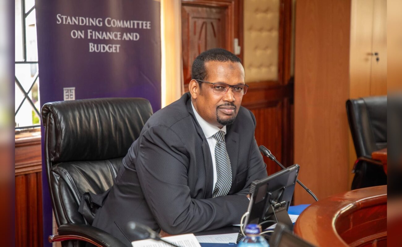 OPINION| Kenya’s Democracy and its Four Seasons Before an Election